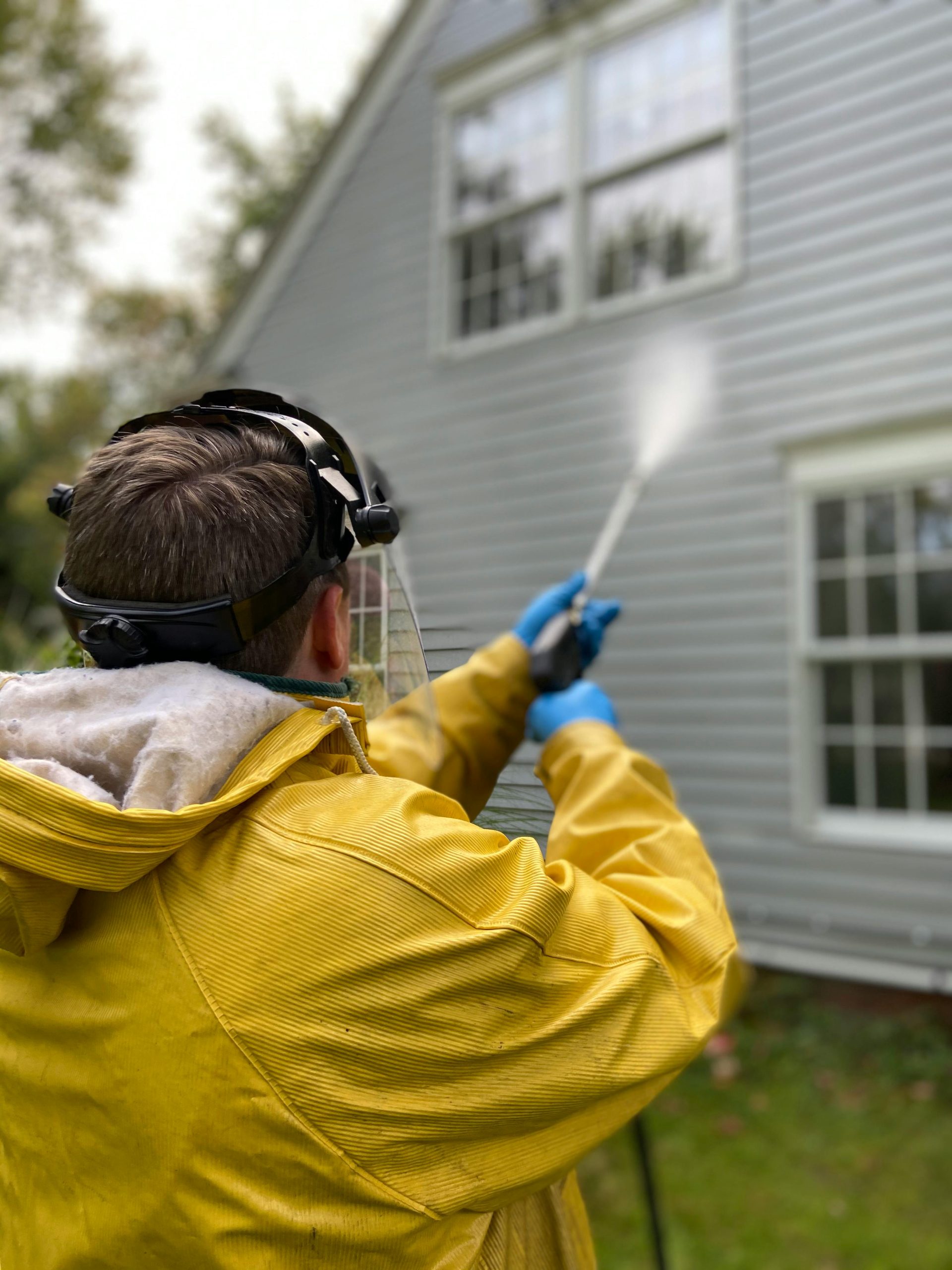 eco friendly home cleaning tips