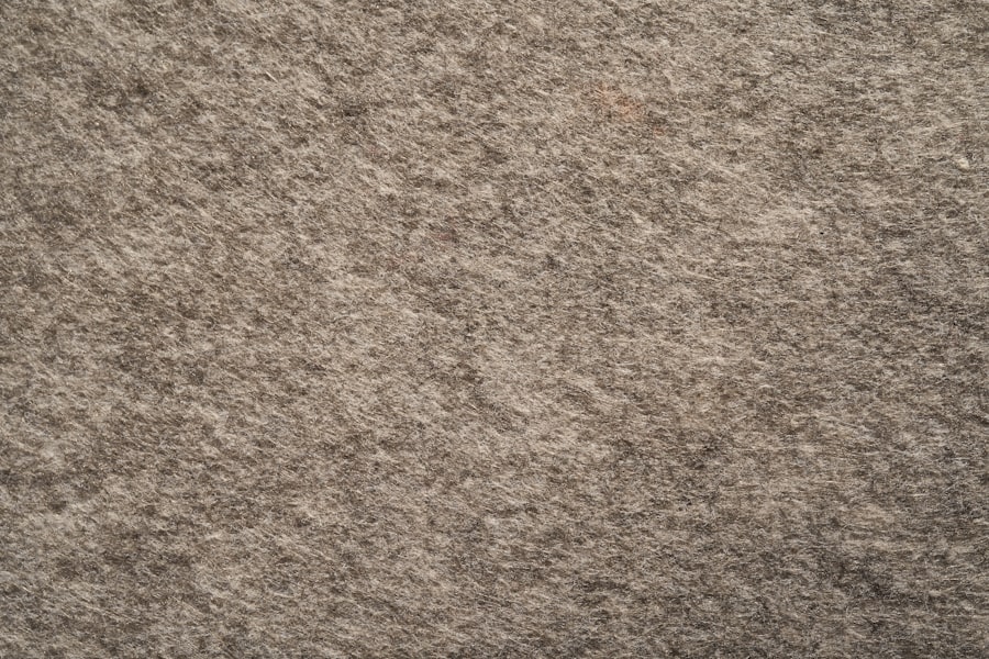 Photo carpet steam cleaning
