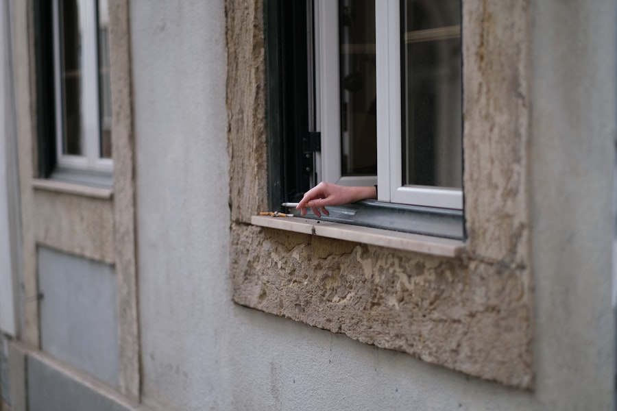 Photo Window Cleaning Cost